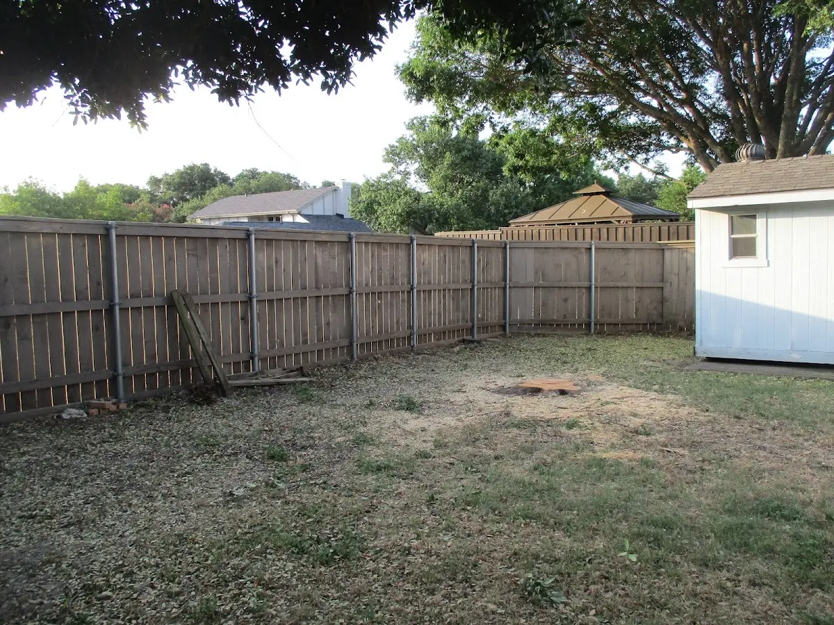 Cleared yard after professional tree removal in Vauxhall